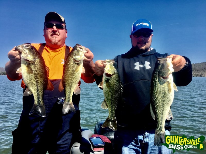 Big bass splash casino, big bass splash kostenlos spielen