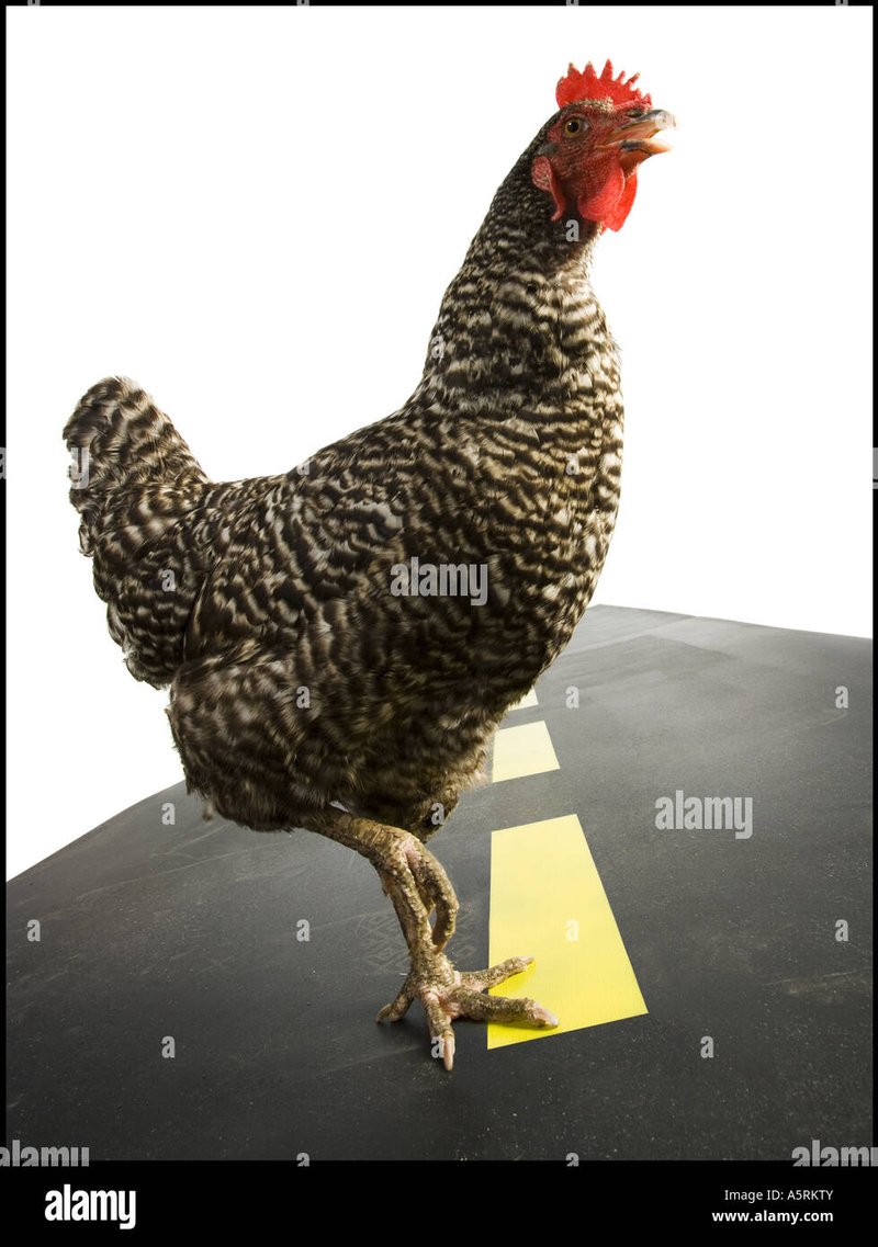 Descubre el Misterioso Camino del Pollo en Casinos de España On-Line, chicken road online