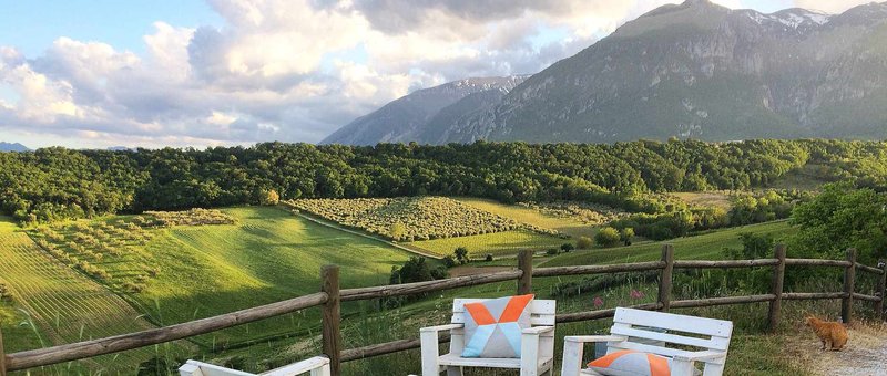 Il Mito del Chicken Road: Una Scommessa D'Azzardo nel Cuore dell'Italia a Italy